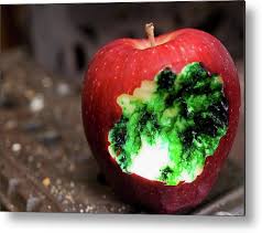 Afbeeldingsresultaat voor poisened apple